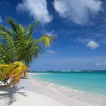 Flamenco beach
