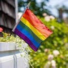 Pride flag planted in a window box in a neighborhood., License Type: media, Download Time: 2025-07-02T12:42:30.000Z, User: clairenaylor, Editorial: false, purchase_order: 65050 - Digital Destinations and Articles, job: Online editorial, client: Small-town Pride, other: Claire Naylor